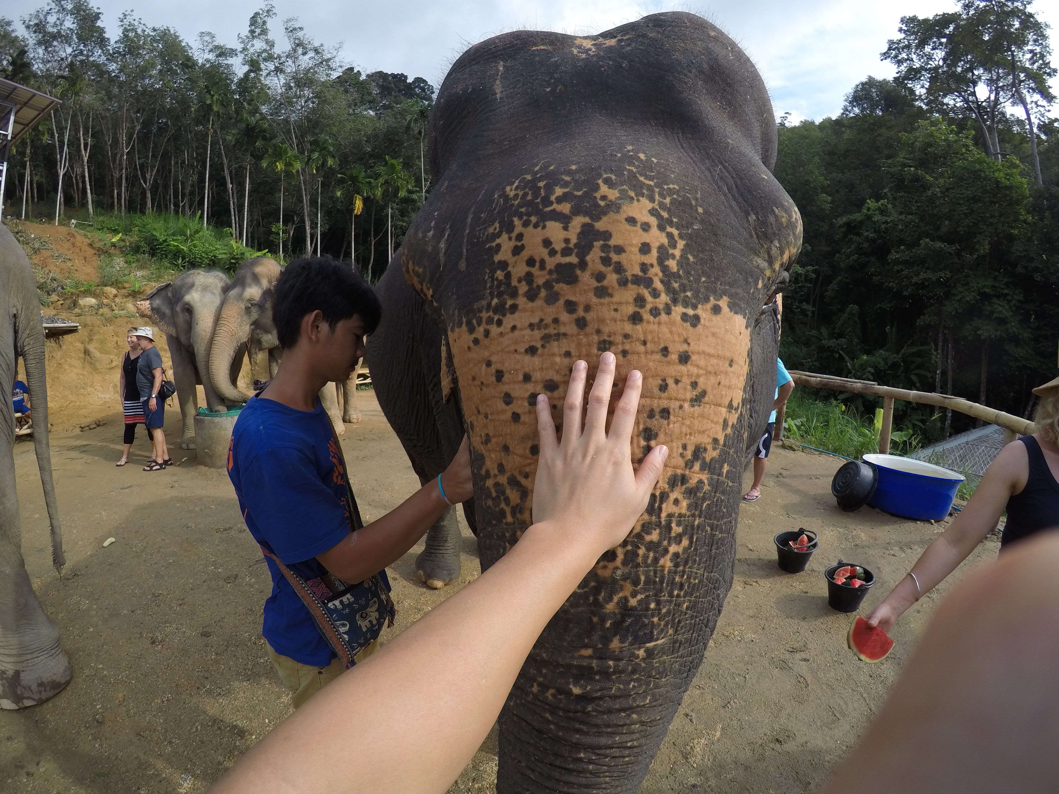 DCIM\102GOPRO\GOPR2372.JPG
